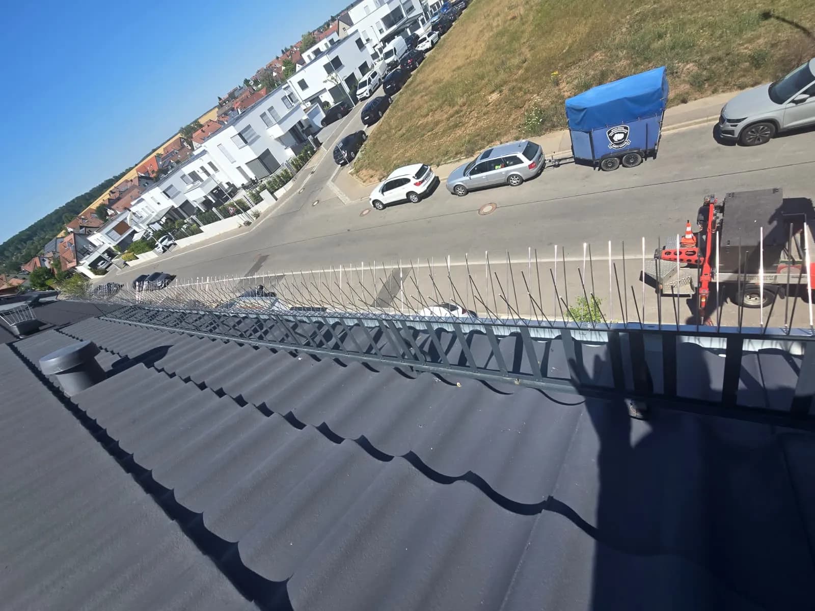 Fachgerechte Montage von Edelstahl-Spikes, seriöser Anbieter bei der Arbeit