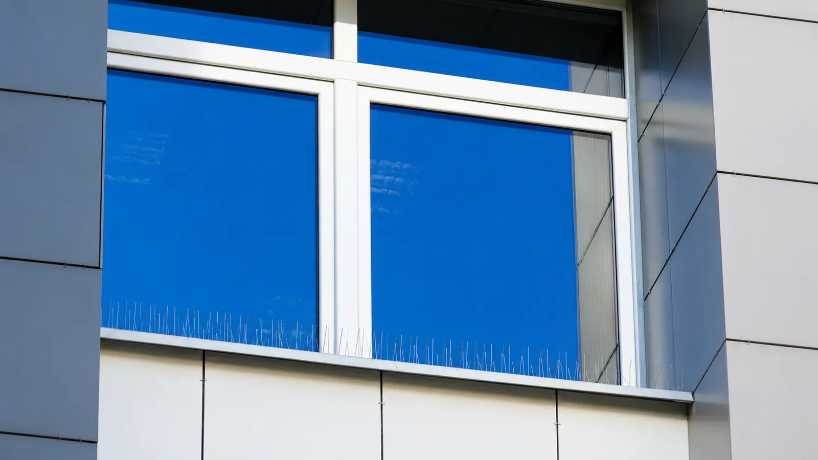 Taubenabwehr am Innenstadthaus, unauffällige Spikes an der Fensterbank
